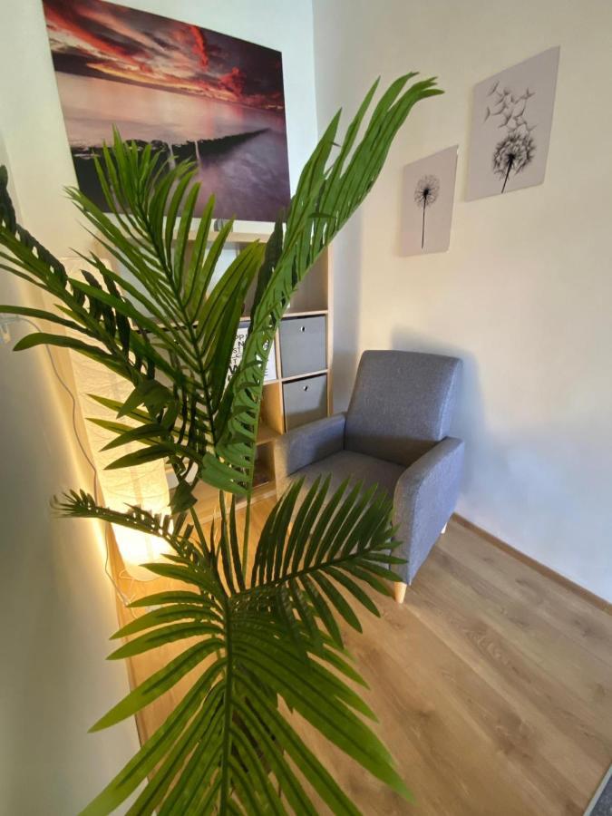 Apartment Dora ザダル エクステリア 写真
